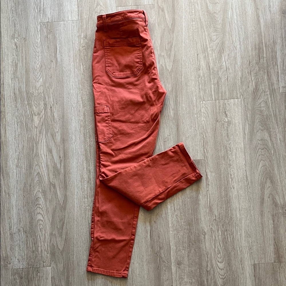 Banana Republic Rust Orange Pants